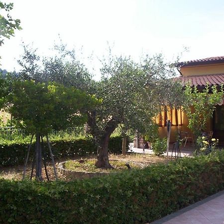 Agriturismo 7 Colonne Villa Bertinoro Esterno foto