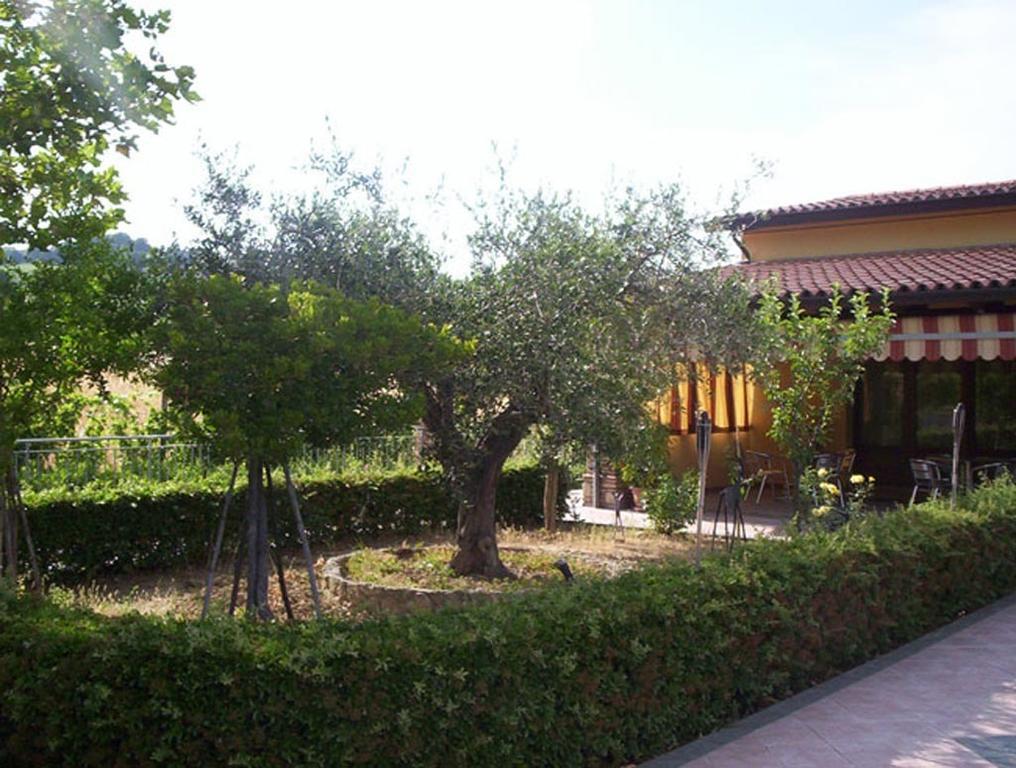 Agriturismo 7 Colonne Villa Bertinoro Esterno foto