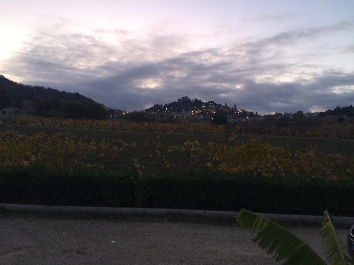 Agriturismo 7 Colonne Villa Bertinoro Esterno foto